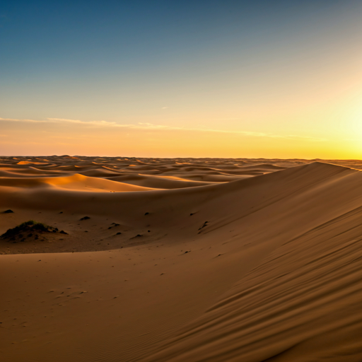 Stunning wide desert dunes at golden hour